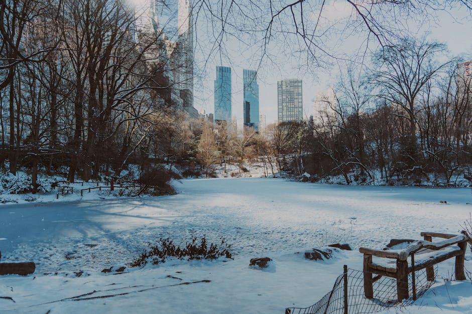 Winter scene of Central Park with snow and the Manhattan skyline in the background