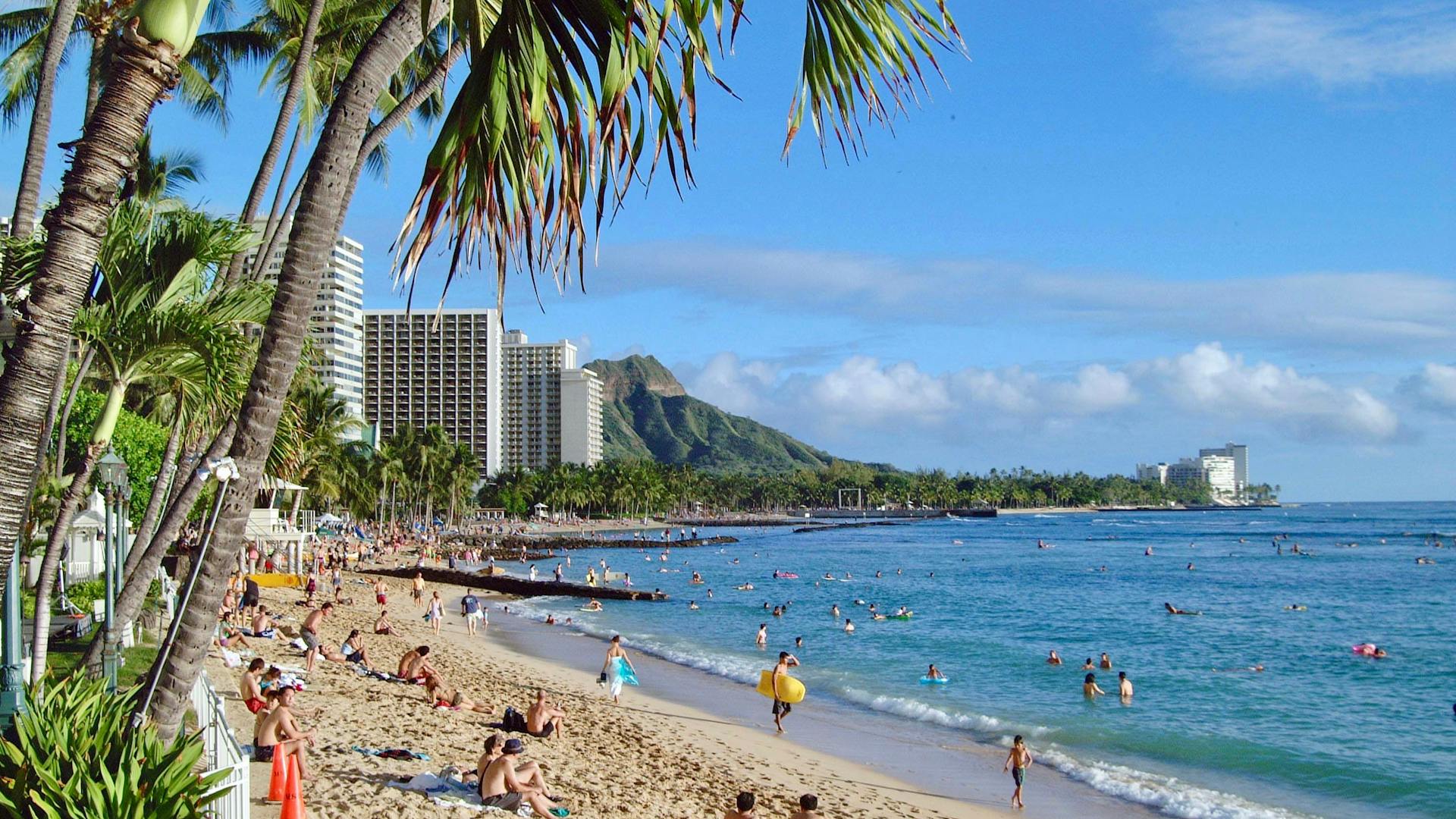 Oahu vs Maui for Families: 2026 Cost and Activity Breakdown