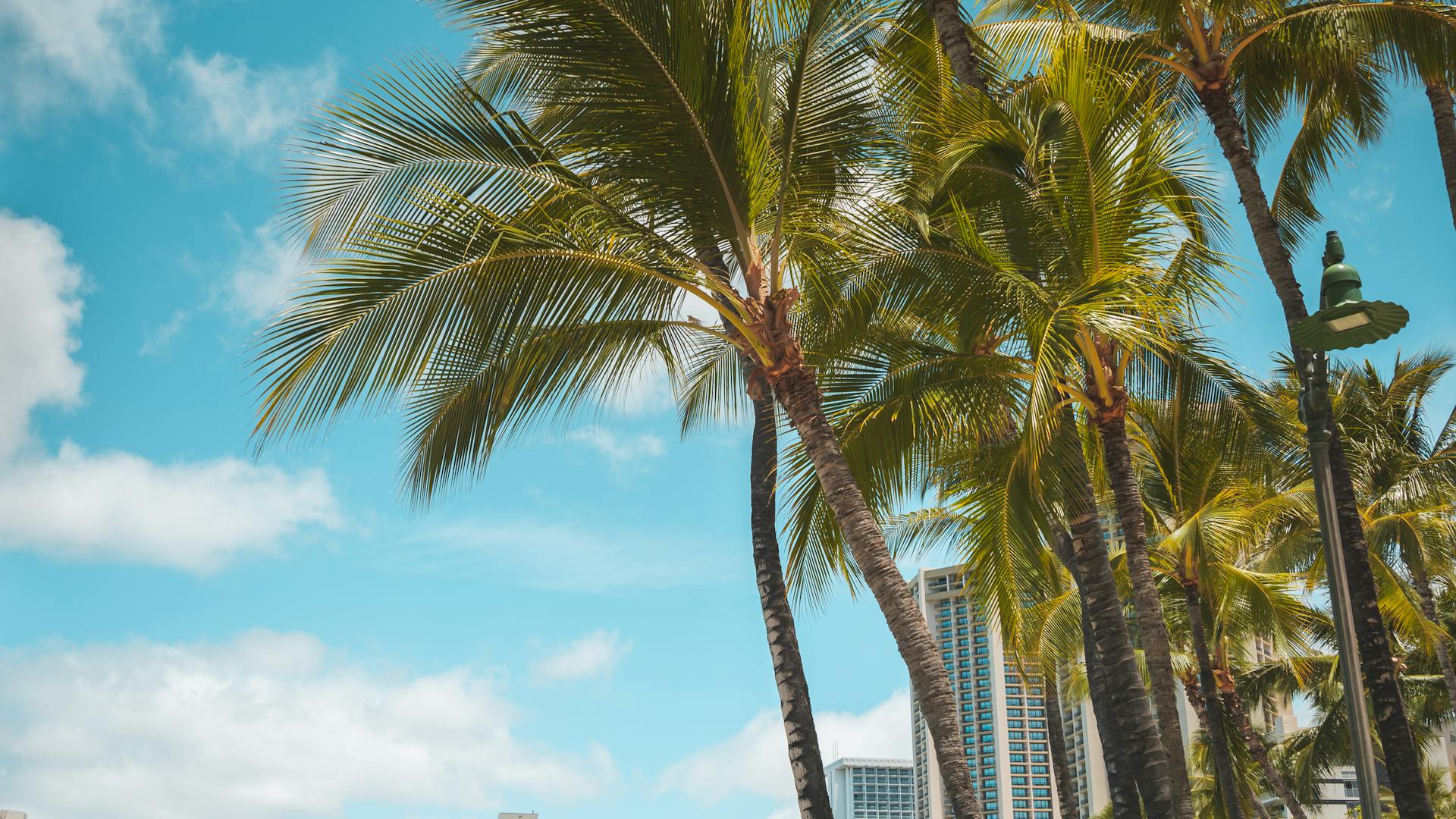 Orlando Family Vacation: Complete Planning Guide 2025