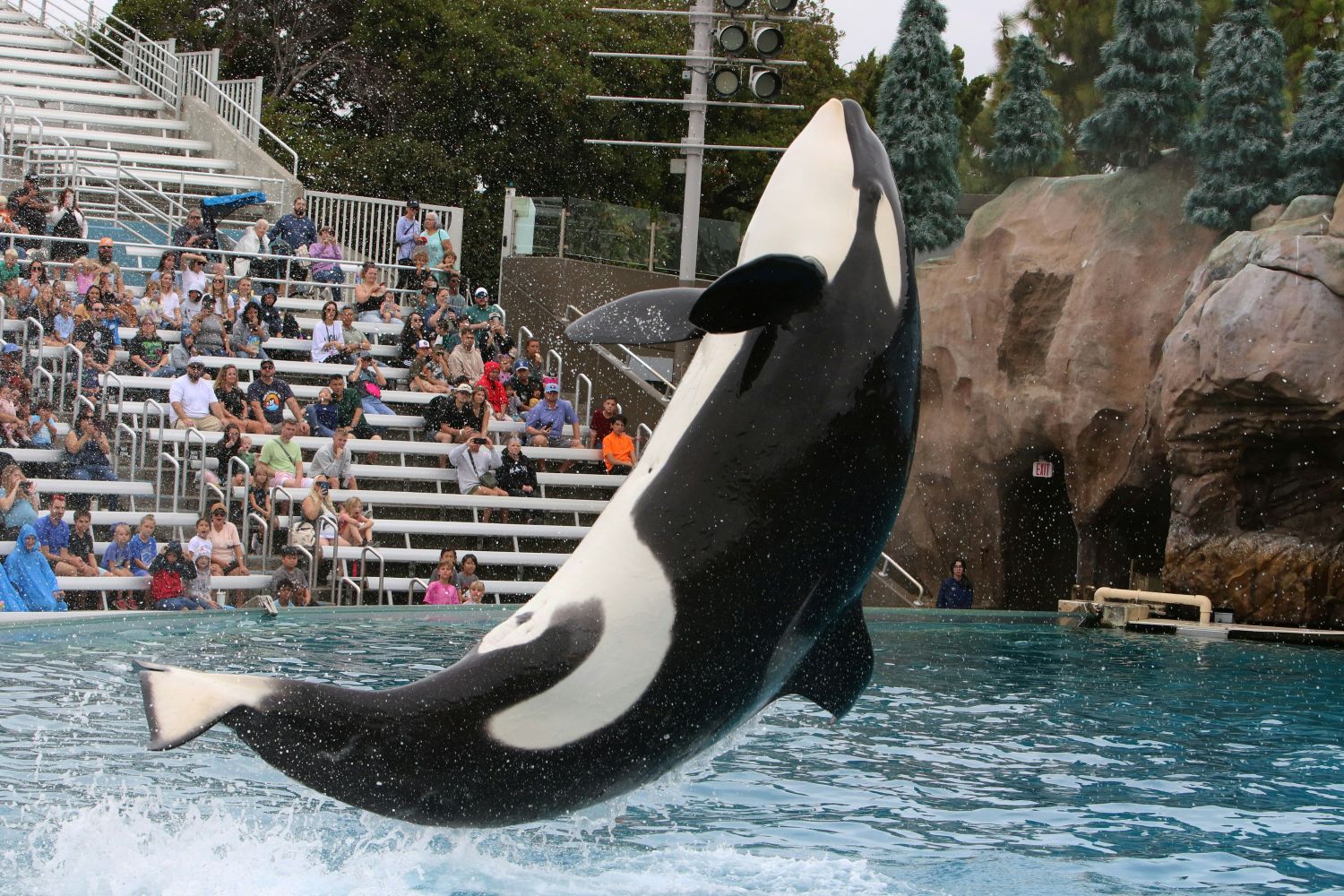 San Diego for Families: Real Costs (2026)