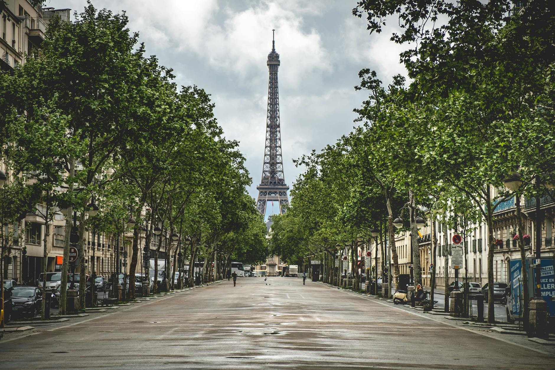 Eiffel Tower and tree-lined Paris street view for family sightseeing