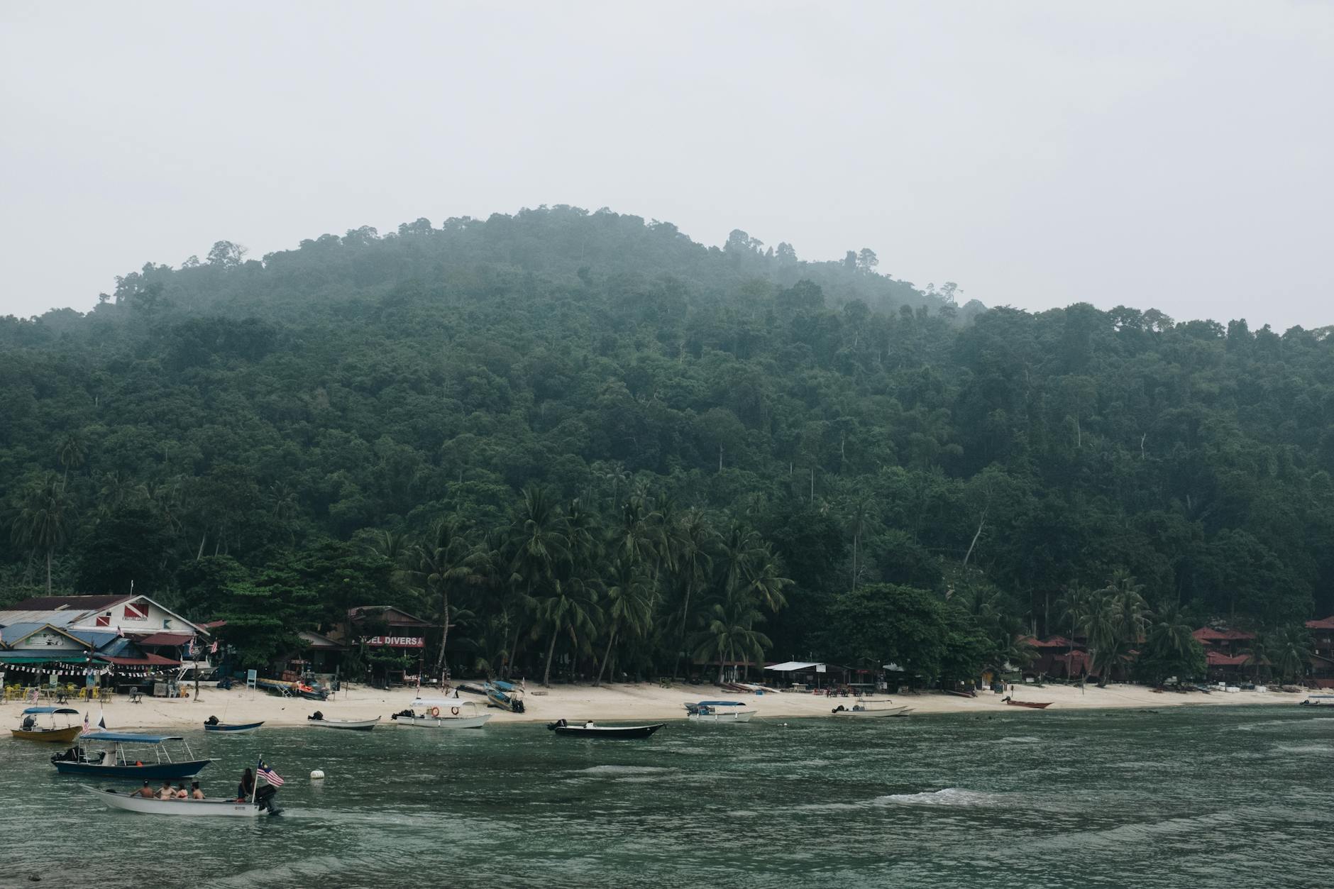 Penang George Town street art and heritage buildings for family exploration in Malaysia