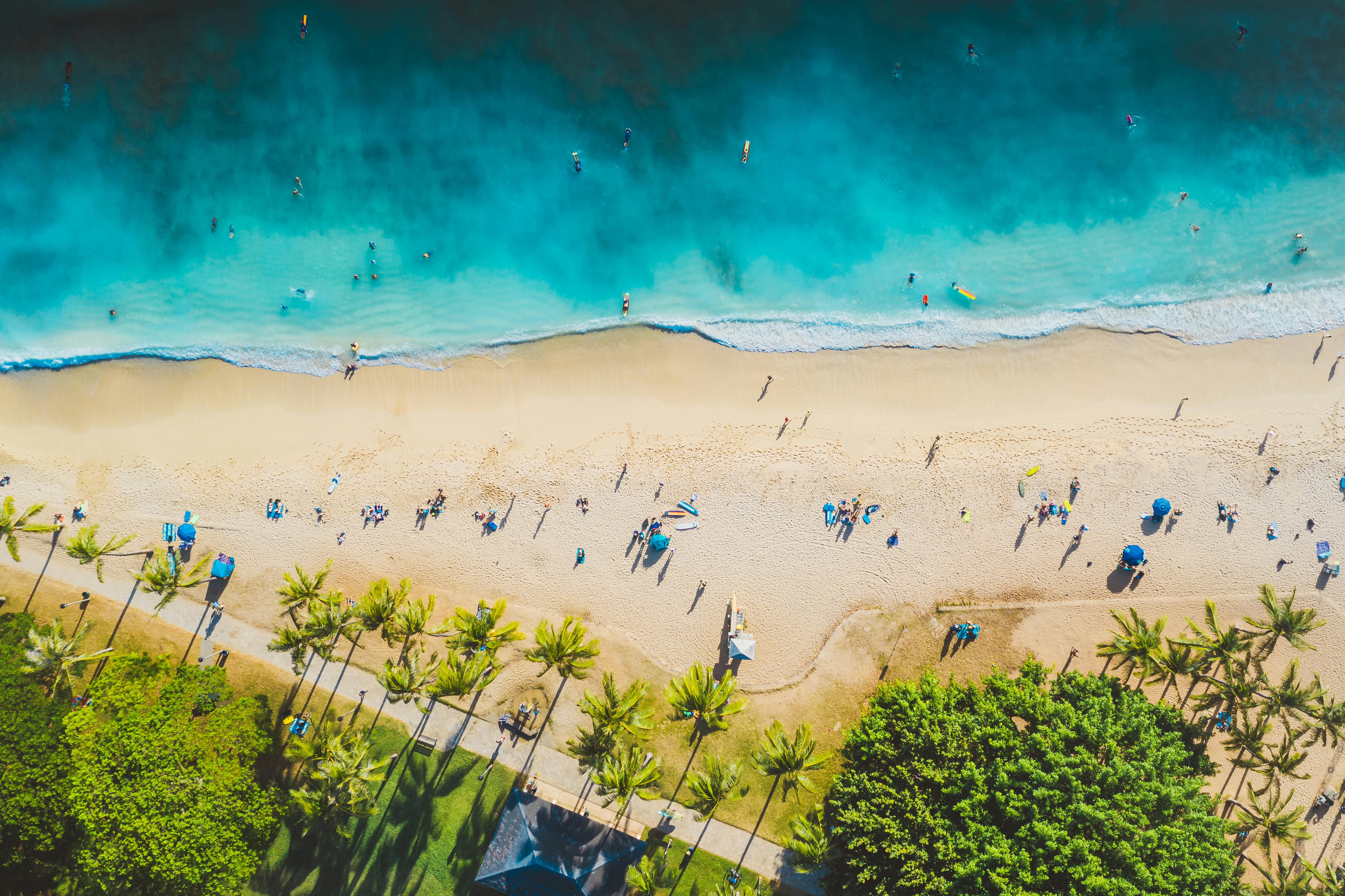 Aerial view of sunny tropical Caribbean beach with turquoise waters and palm trees representing the all-inclusive family-vacation tier across all 3 destinations