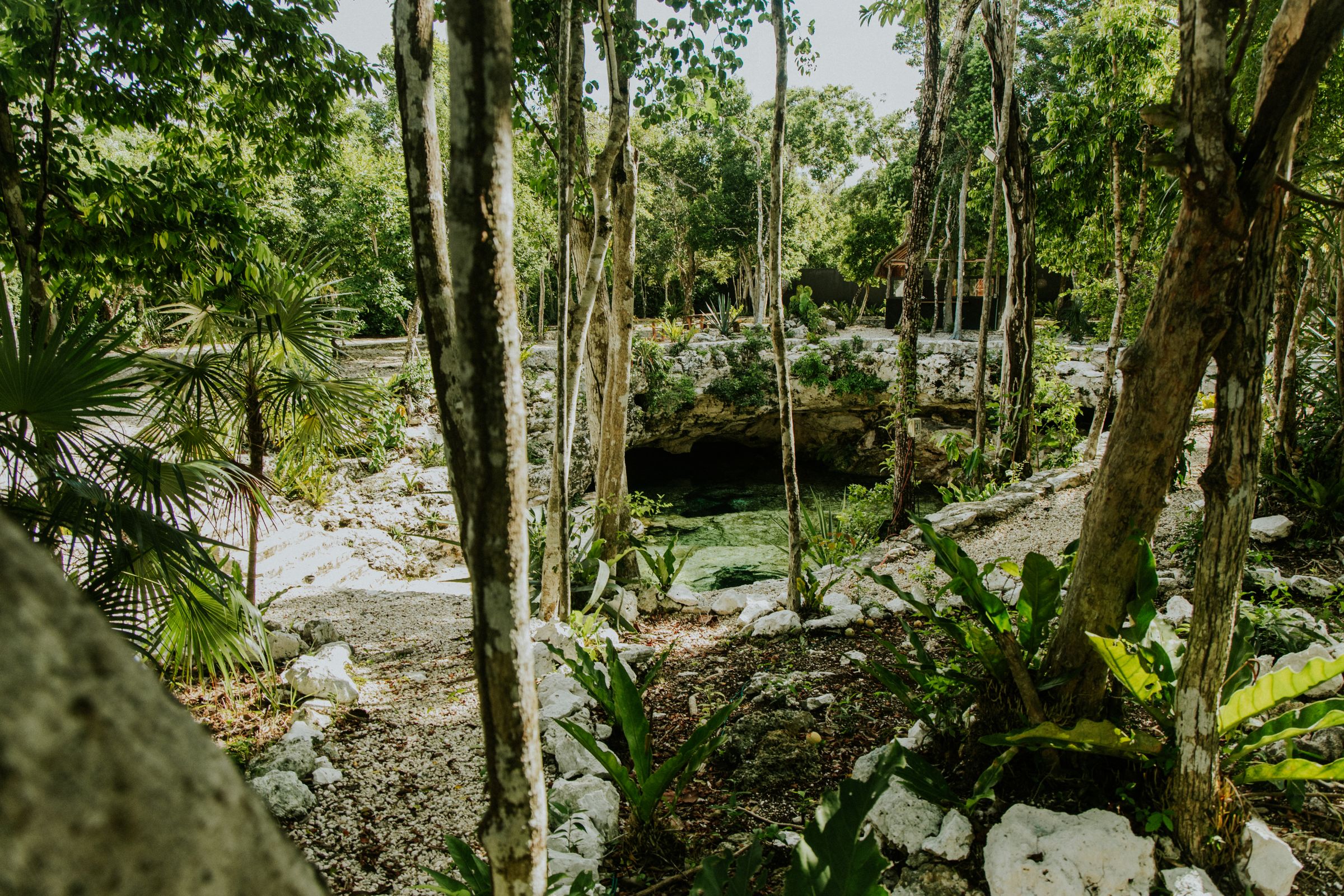 Riviera Maya with Kids: Costs and Best Time (2026)