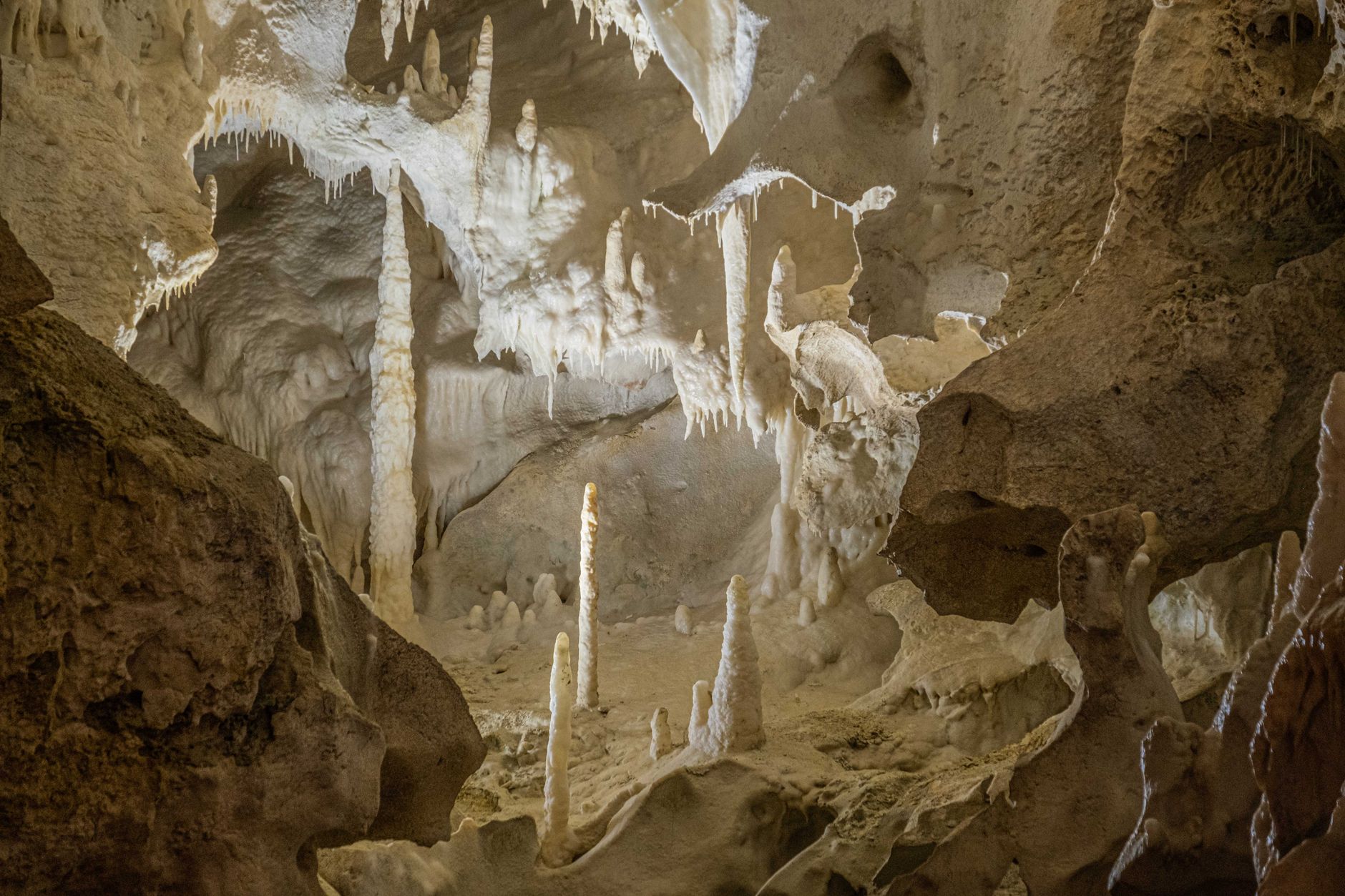 A limestone cavern lined with stalactites &mdash; the Natural Bridge Caverns-style underground adventure in the Texas Hill Country near San Antonio