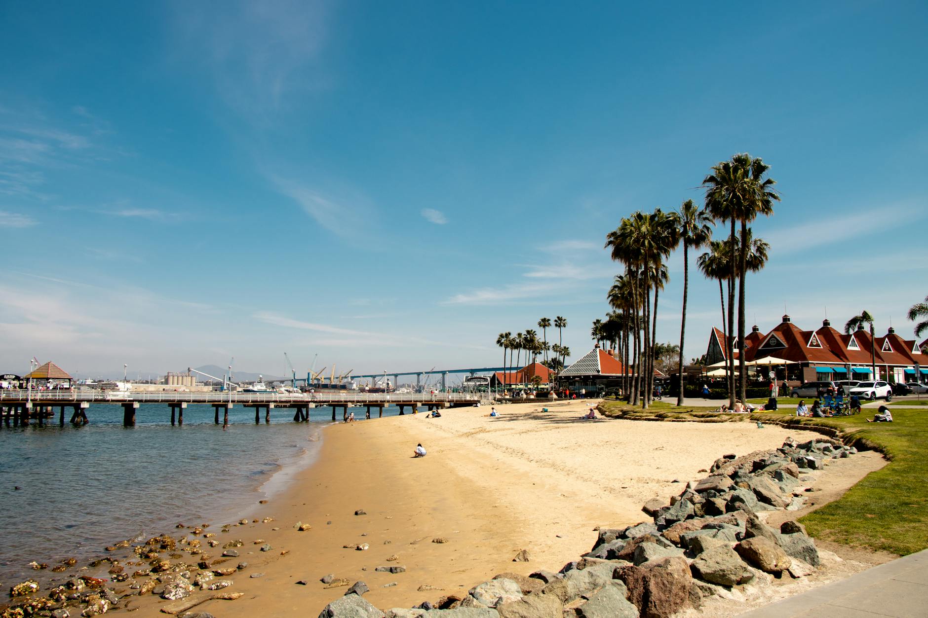 Coronado Beach in San Diego with palm trees and blue sky along the California coast