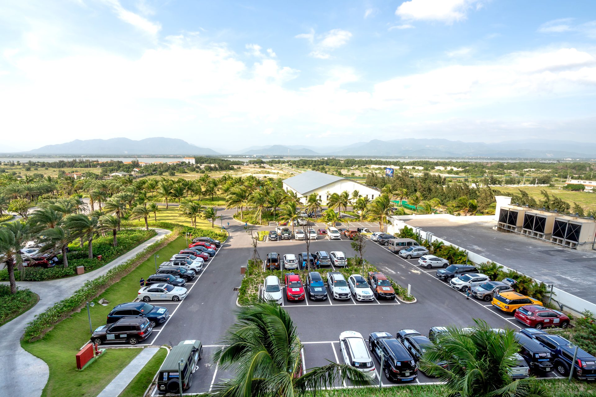 Aerial view of a parking lot lined with palm trees on a sunny day