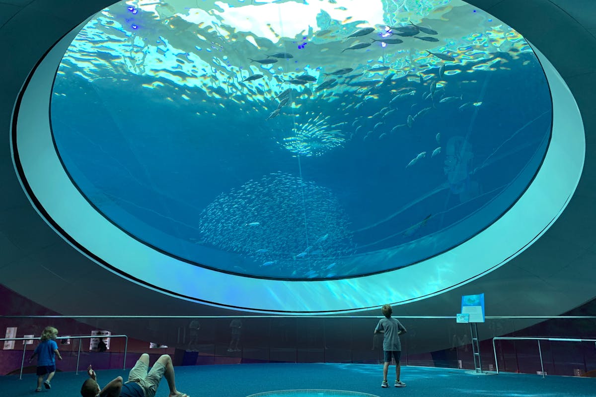 Family visiting an aquarium exhibit at a marine park like SeaWorld Orlando