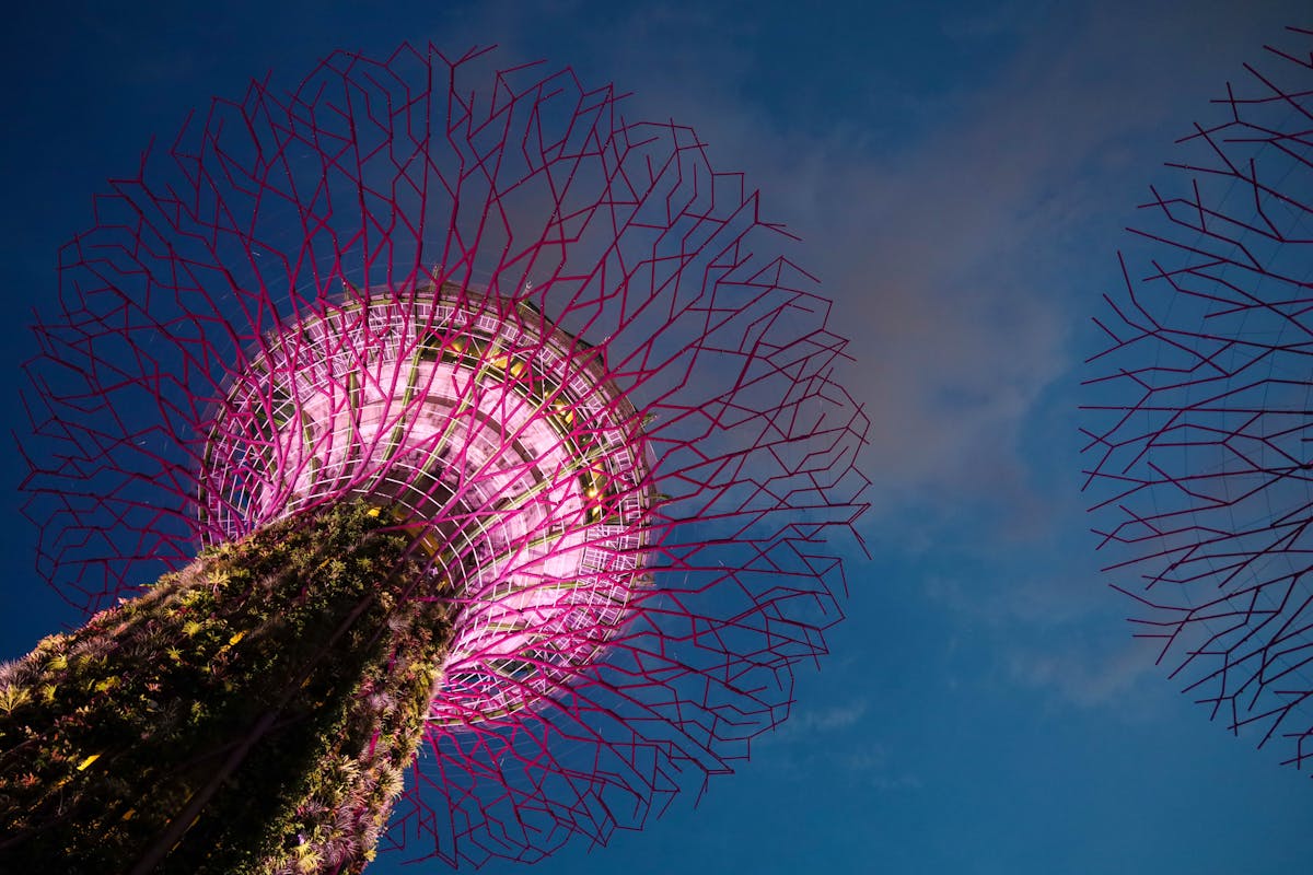 Singapore Supertree Grove at Gardens by the Bay illuminated at night