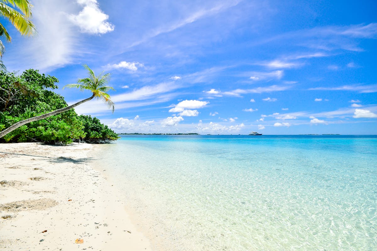 Full body of positive young Asian man wearing red cap playing with child on sandy shore with palms on background on clear day