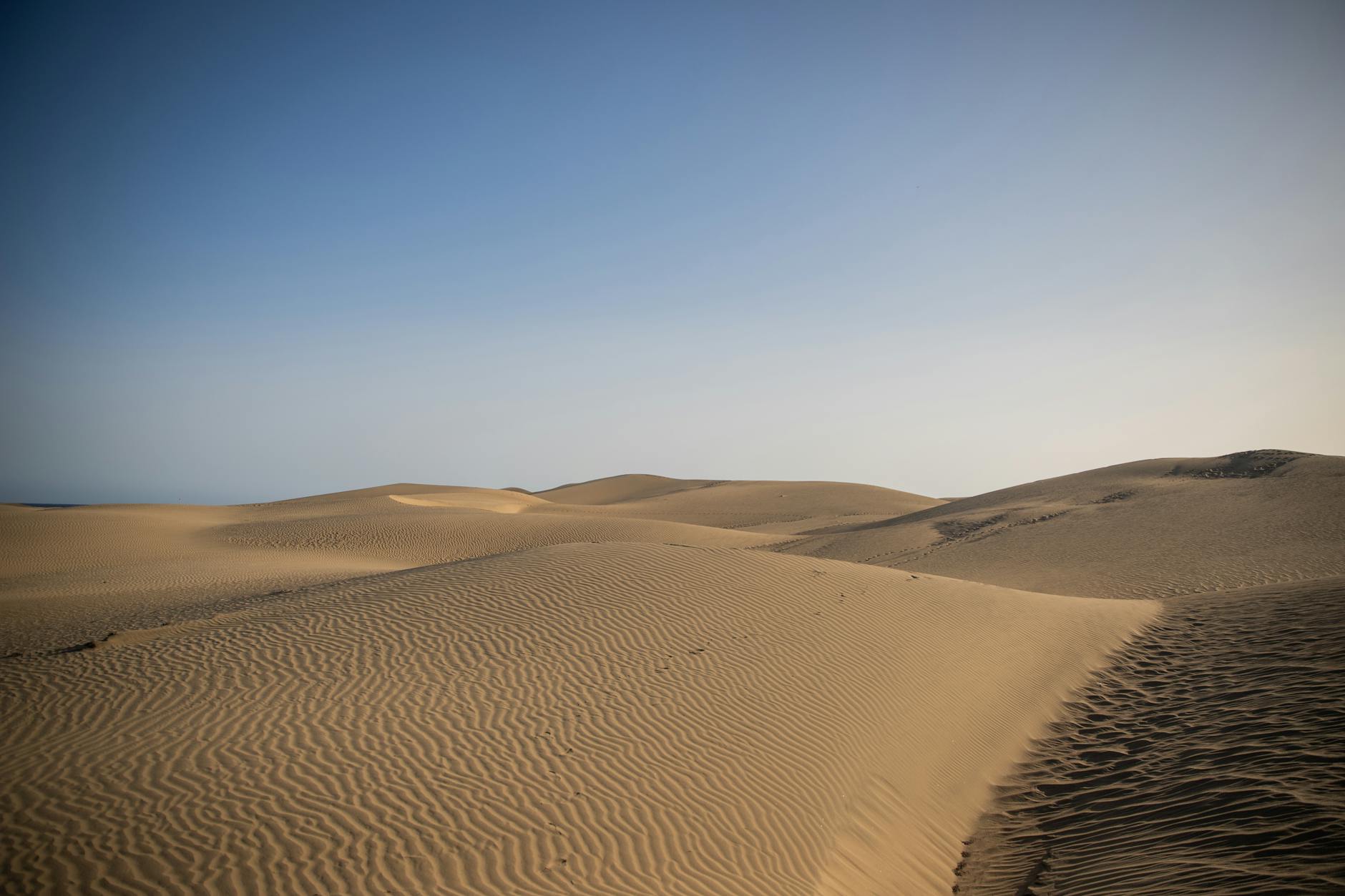 Wide view of the Maspalomas sand dunes in Gran Canaria with ocean beyond
