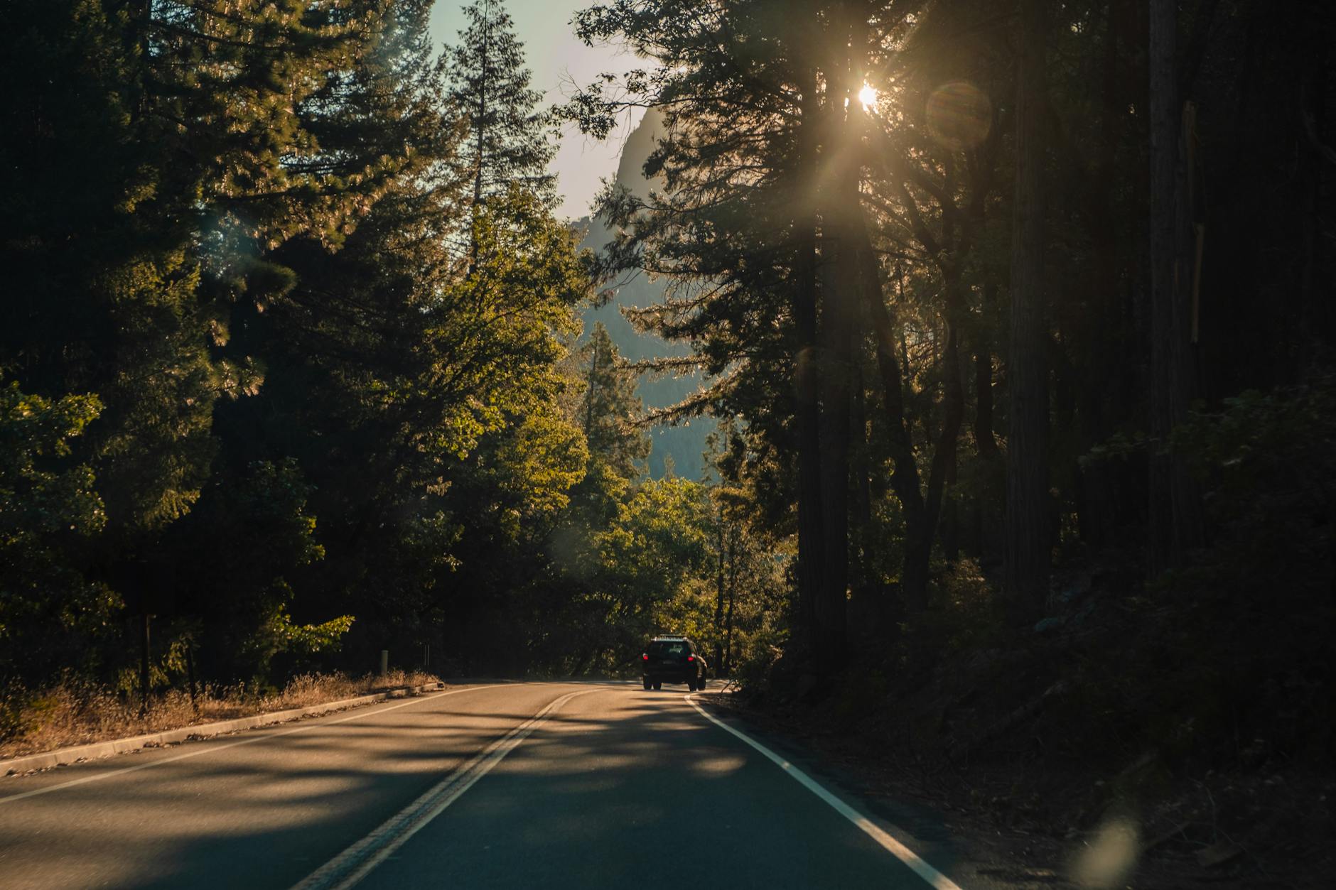 Car driving through Yosemite Valley forest on a family road trip
