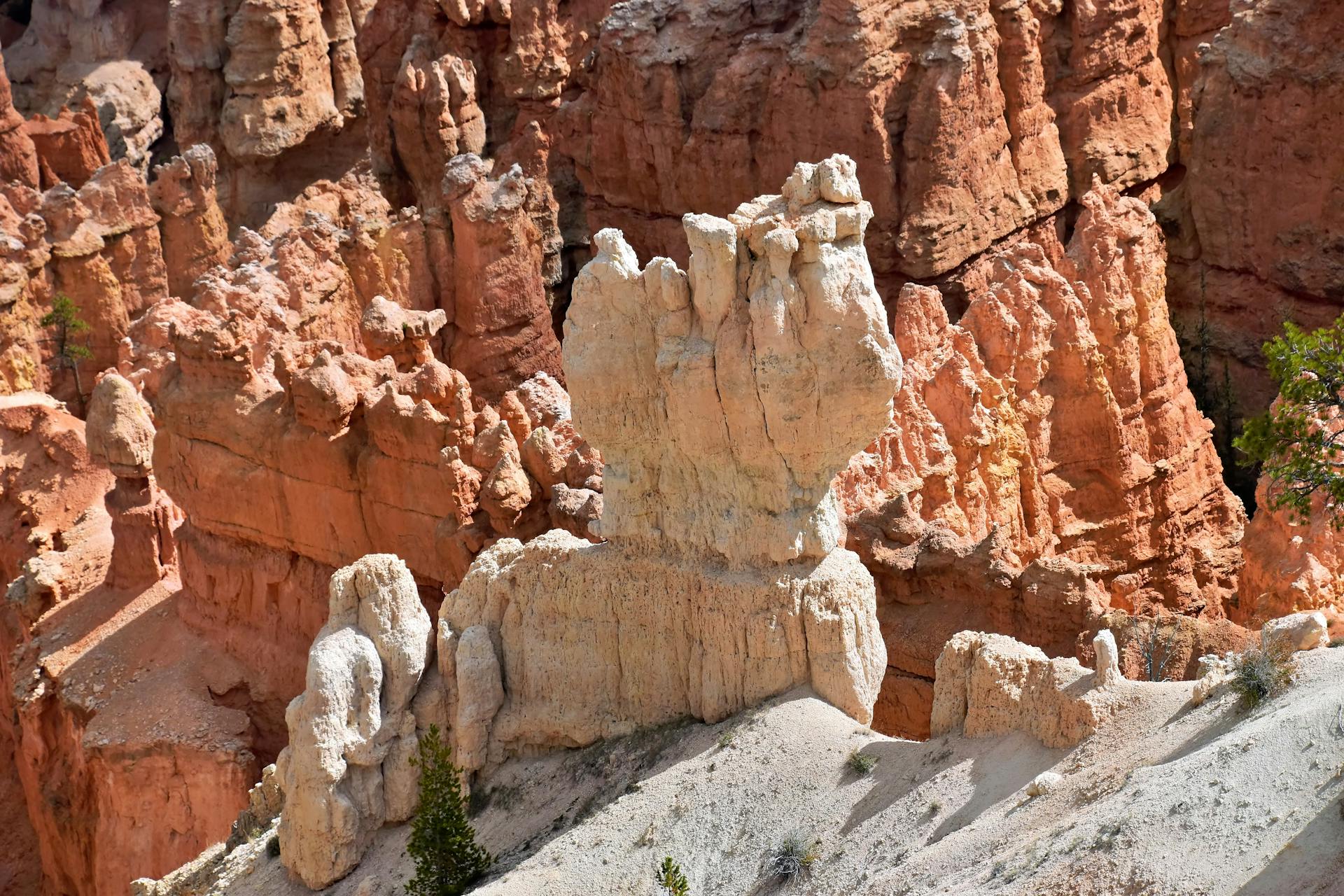 Orange and red hoodoo rock formations at Bryce Canyon National Park