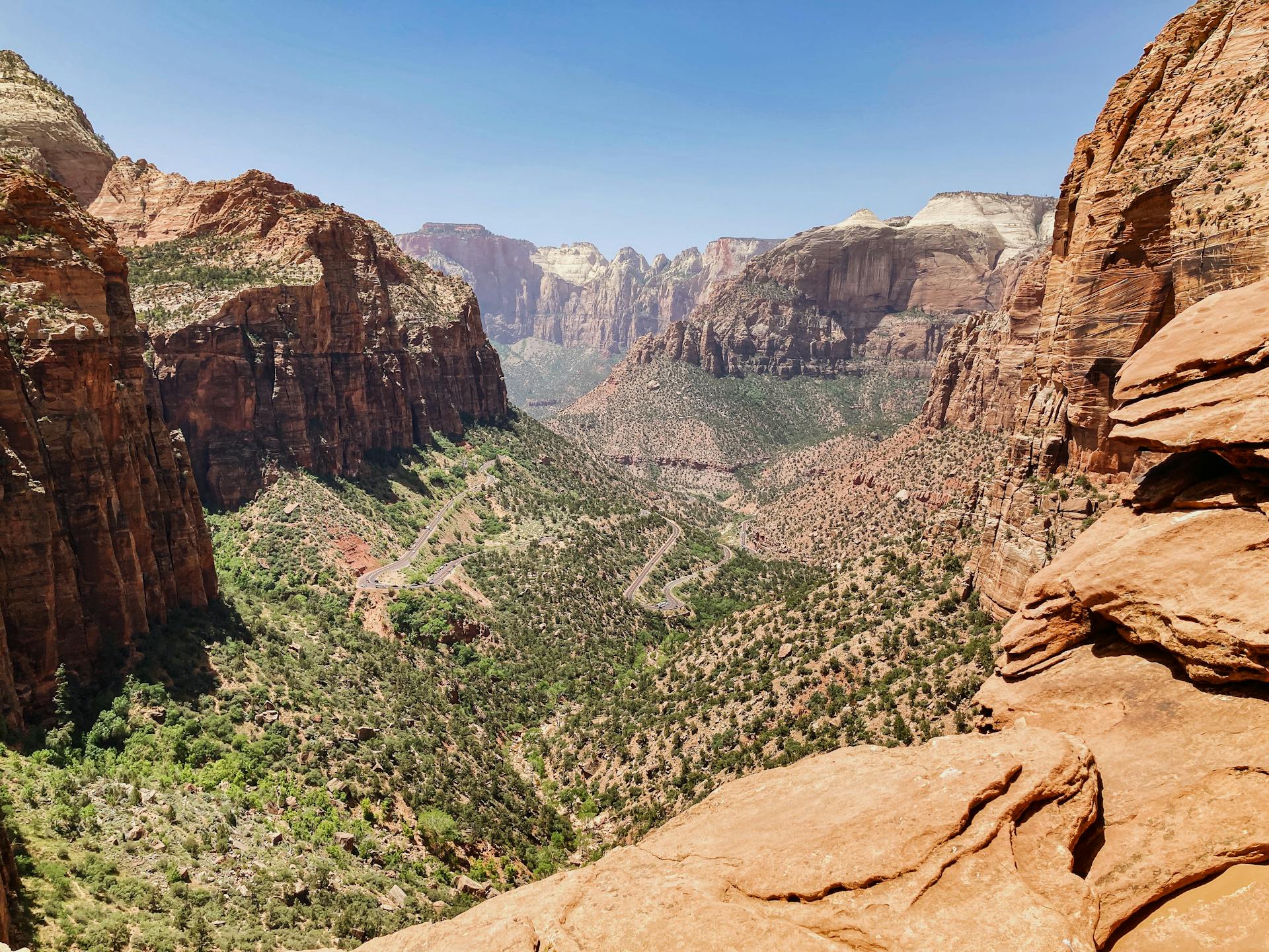 Towering red canyon walls in Zion National Park with green valley floor