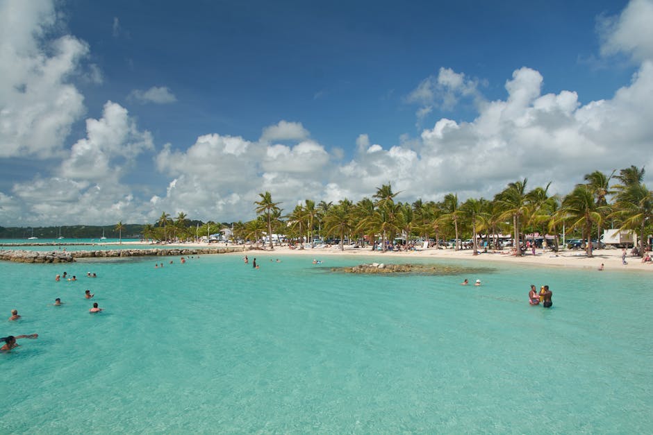 Tropical beach with turquoise water and palm trees at a Caribbean resort destination