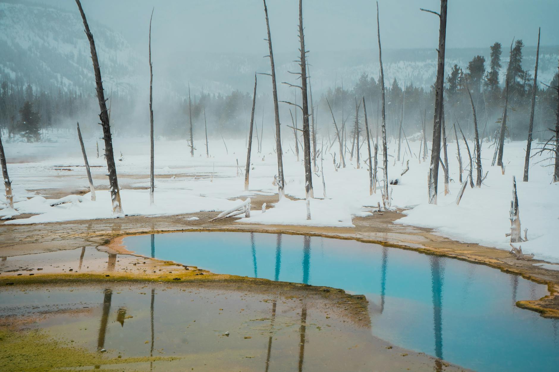 A Real Yellowstone Family Vacation Cost Breakdown 2026