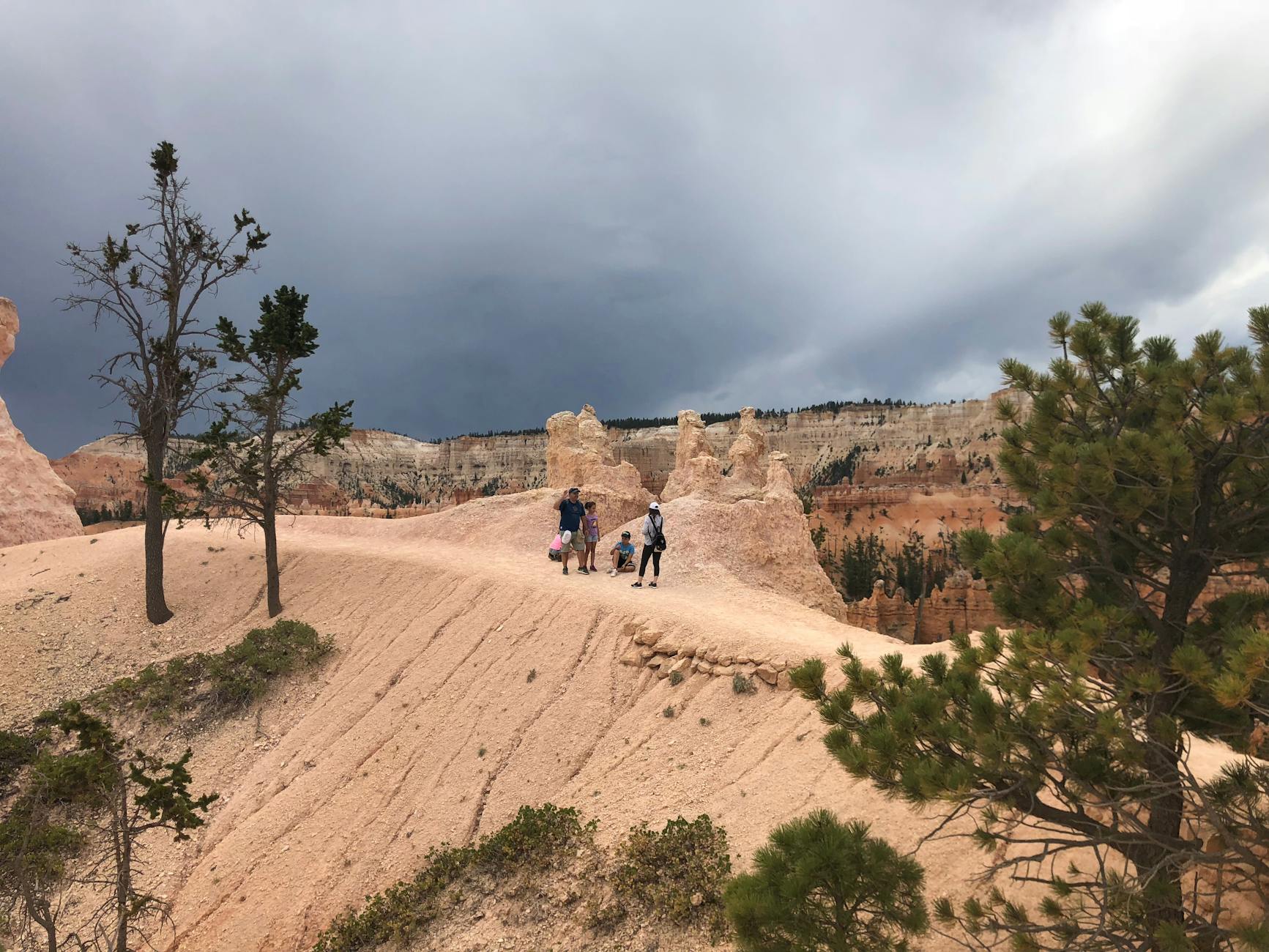 Hikers walking a scenic national park trail with canyon views and trees