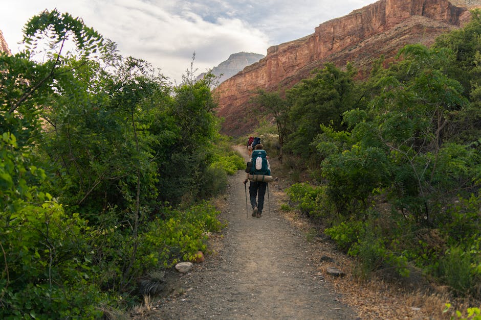 Hiker on a scenic trail in Grand Canyon National Park with canyon views stretching to the horizon