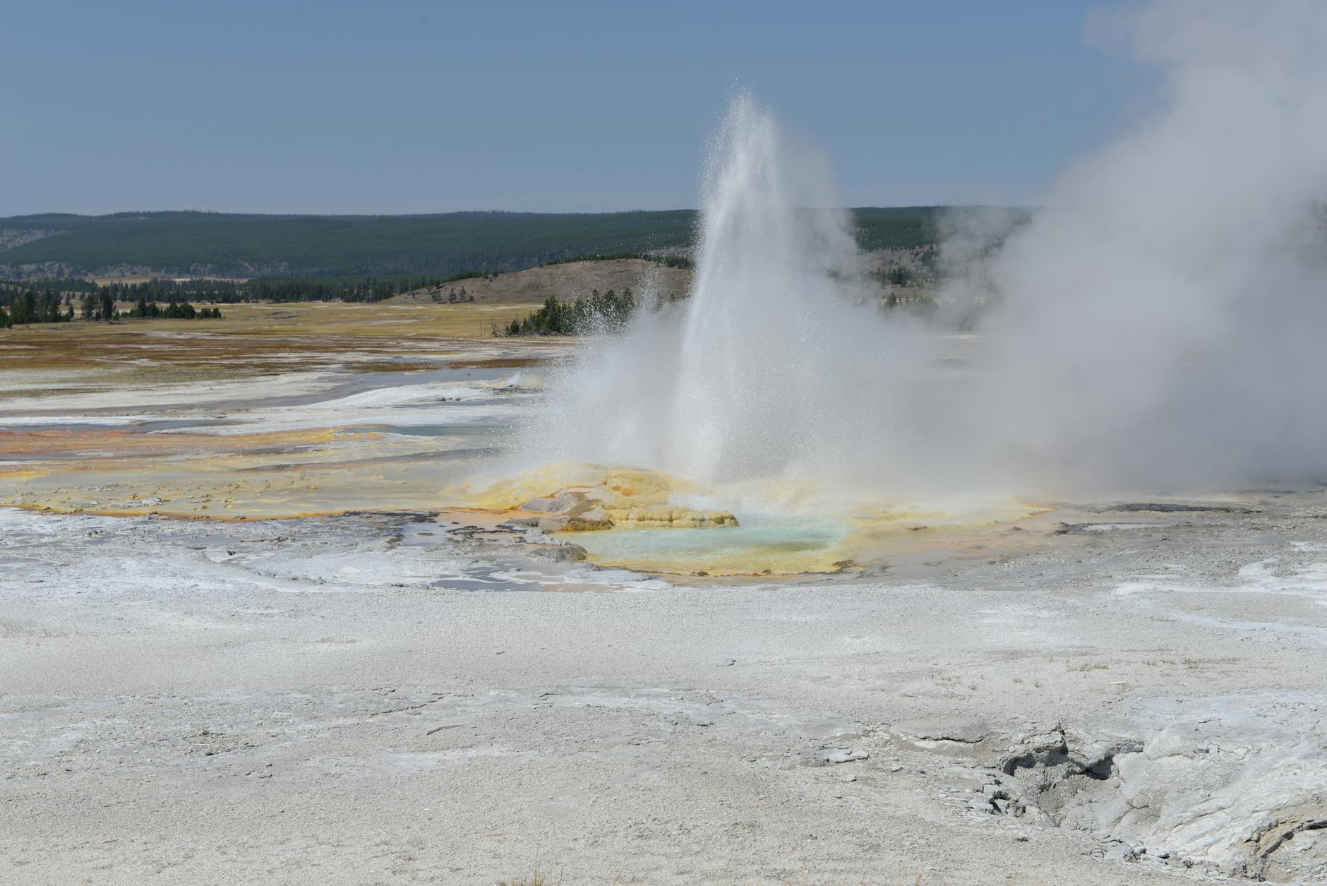Geyser erupting with steam rising at Yellowstone National Park