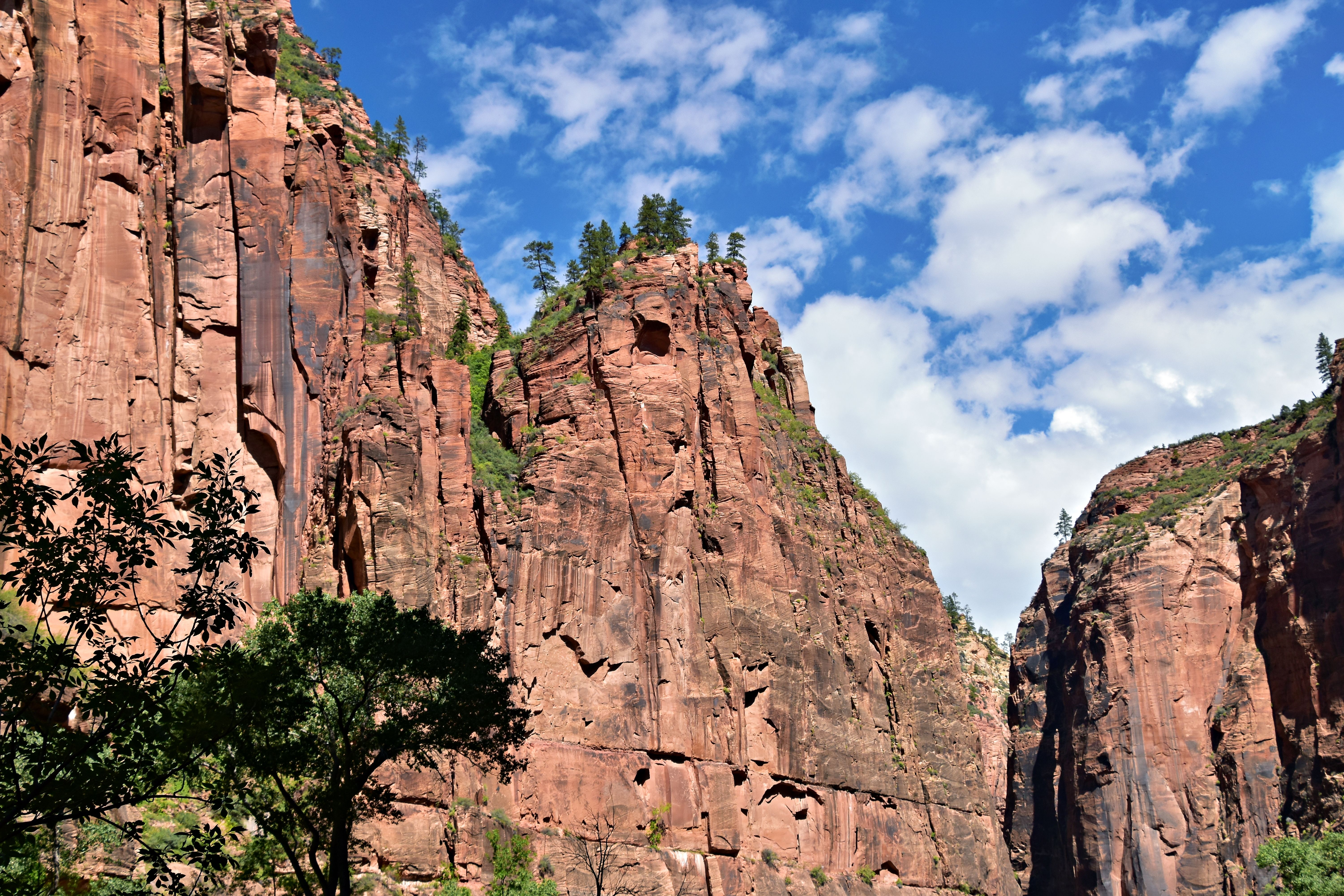 Red rock cliffs under clear blue sky in Zion National Park Utah representing the slot-canyon stroller-impossible toddler-friction reality