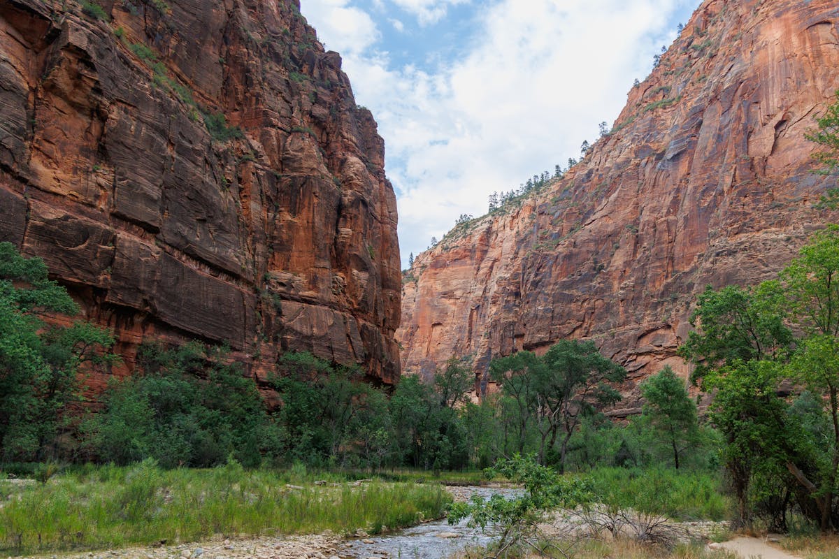 Canyon with river flowing between towering rock formations at Zion