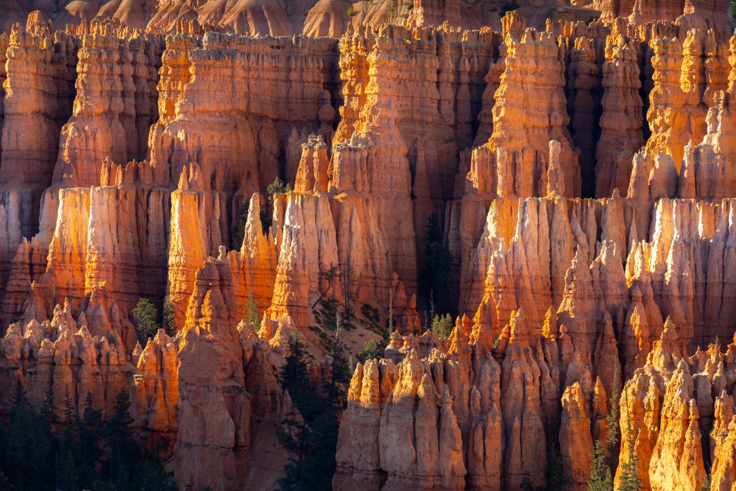 Stunning hoodoo rock formations at Bryce Canyon National Park amphitheater