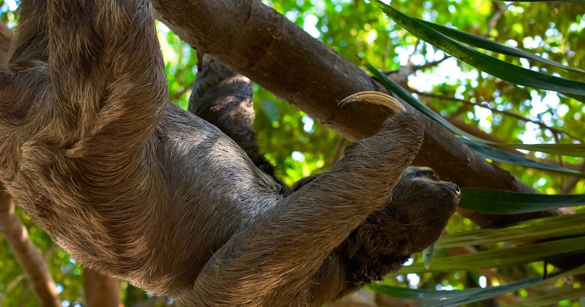 The Perfect 10-Day Costa Rica Itinerary for Families