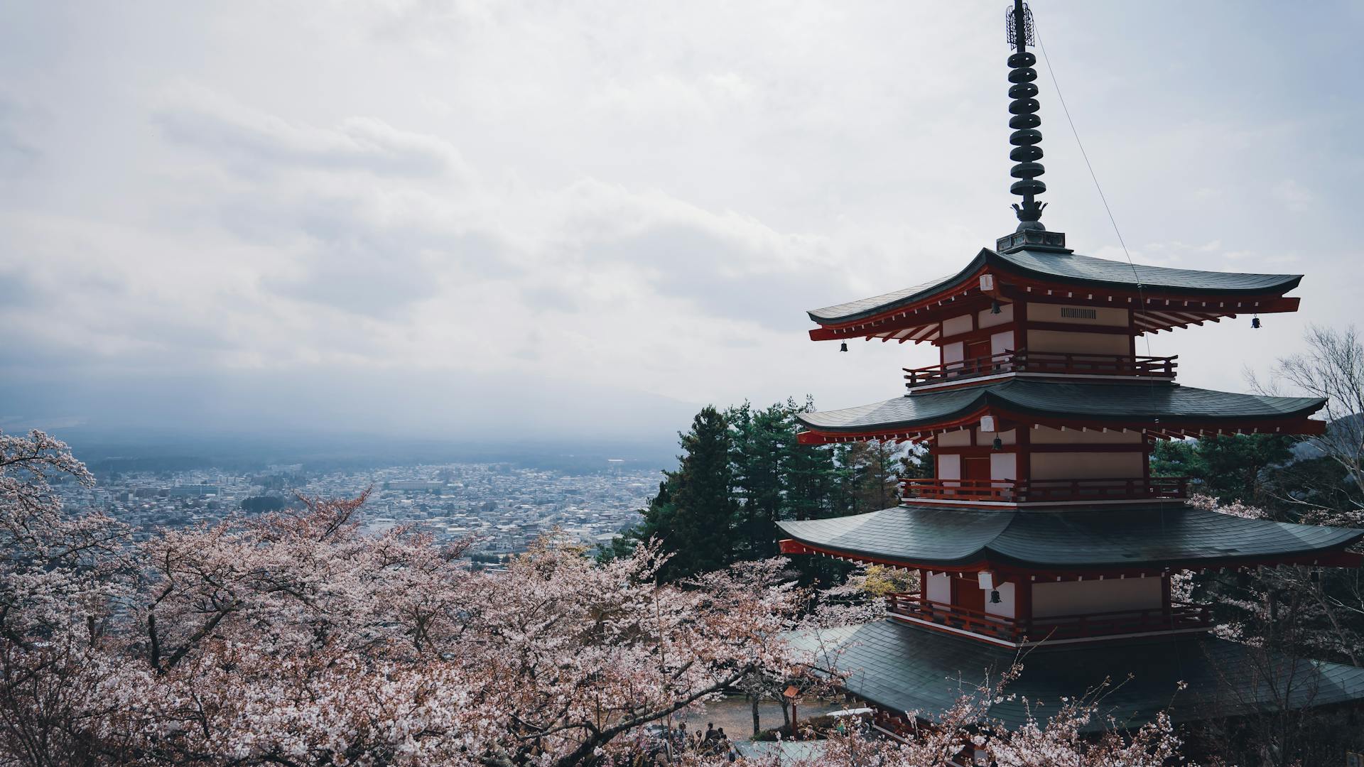 The Perfect 10-Day Japan Itinerary for Families (Tokyo & Kyoto)