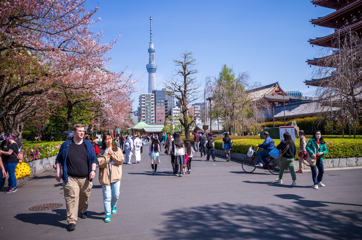 Japan vs South Korea for Families: Complete Comparison 2025