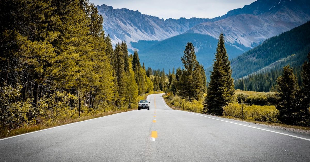 Trail Ridge Road Guide: Complete Family Guide to America's Highest Paved Highway (2025)