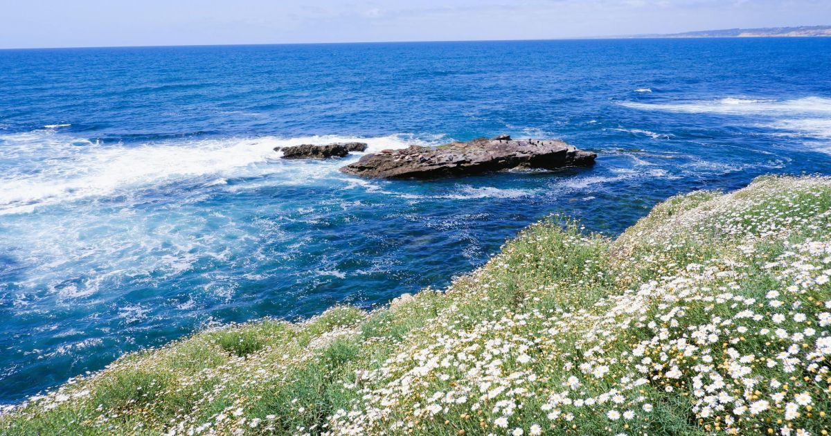 San Diego Beaches & Outdoor Guide