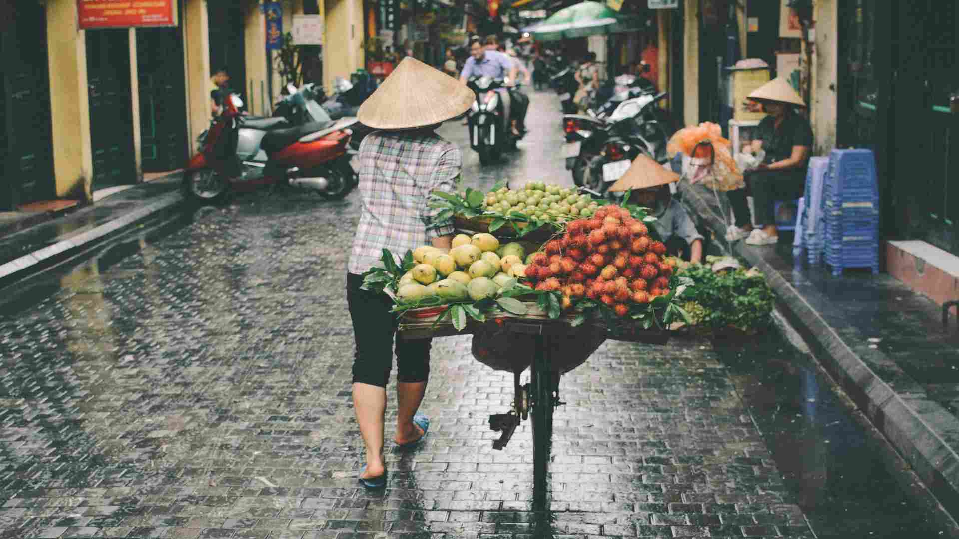 How Much Does a Family Trip to Vietnam Cost?