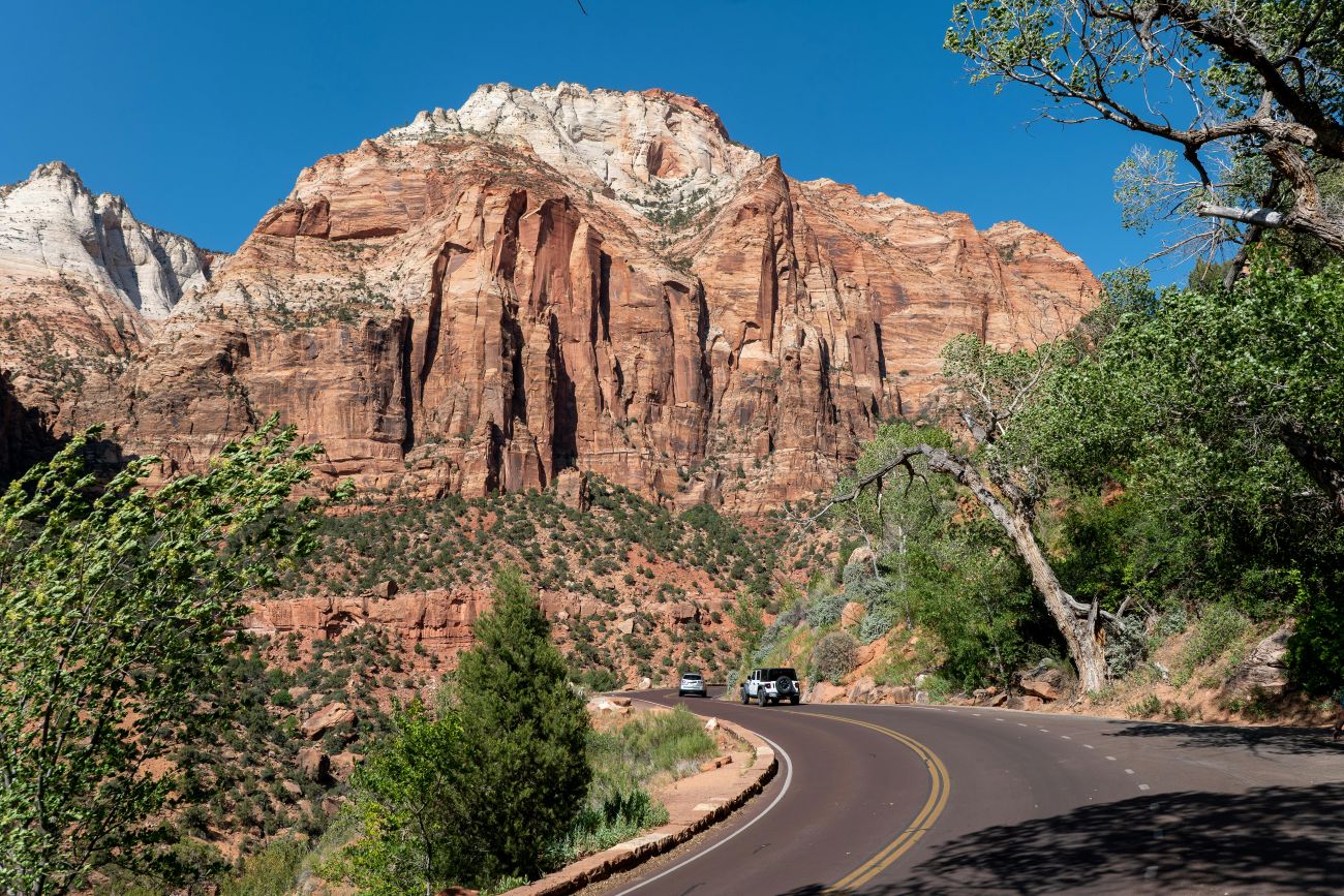 Zion vs Bryce Canyon for Families: Which Utah Park Should You Visit? (2025 Complete Guide)